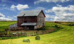 Barn and Hay