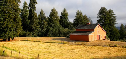 Barn and Pasture Jigsaw Puzzle