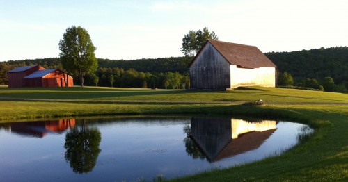 Barn and Pond Jigsaw Puzzle