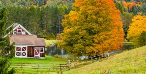 Barn at Pond