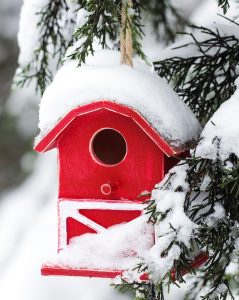 Barn Birdhouse Jigsaw Puzzle