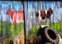 Barn Door Mural