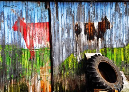 Barn Door Mural Jigsaw Puzzle