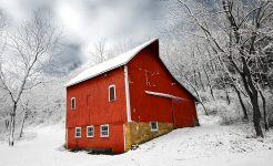 Barn in Snow