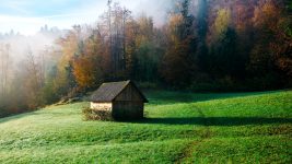 Barn in the Mist