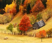 Barn in the Vale