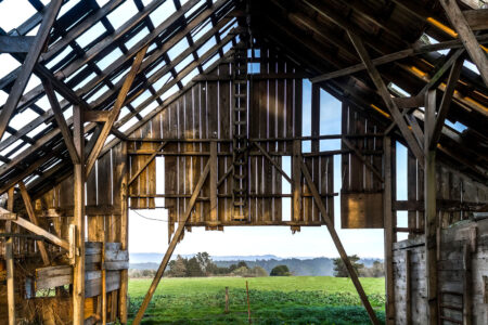 Barn Skeleton Jigsaw Puzzle