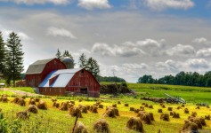 Barns and bales