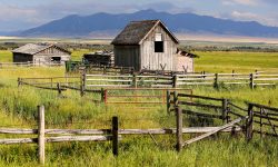 Barns and Fences