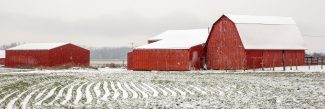 Barns in Snow