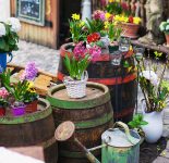 Barrels and Flowers