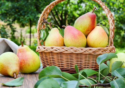 Basket of Pears Jigsaw Puzzle