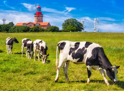 Bastorf Lighthouse Jigsaw Puzzle Bastorf Lighthouse Jigsaw Puzzle
