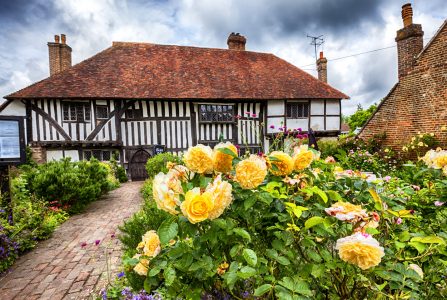 Battle House Jigsaw Puzzle