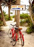 Beach Bikes