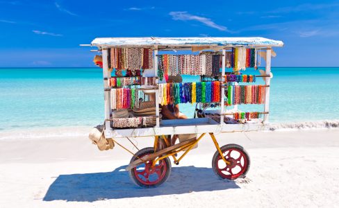 Beach Cart Jigsaw Puzzle