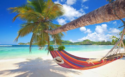 Beach Hammock Jigsaw Puzzle