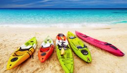 Beach Kayaks