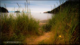 Beach Path