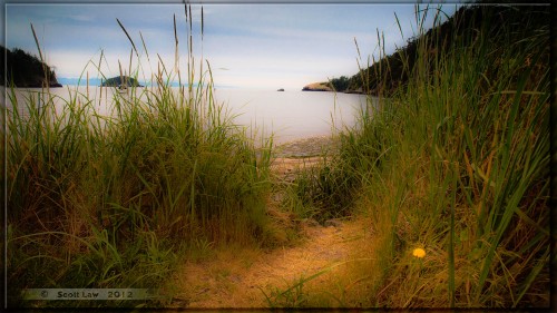 Beach Path Jigsaw Puzzle