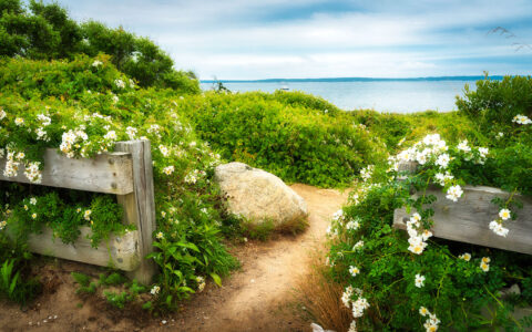 Beach Trail Jigsaw Puzzle