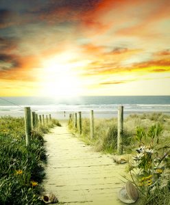 Beach Walkway Jigsaw Puzzle