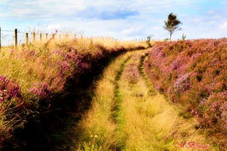 Beadlam Rigg Jigsaw Puzzle