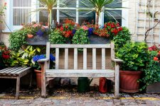 Bench and Flowers