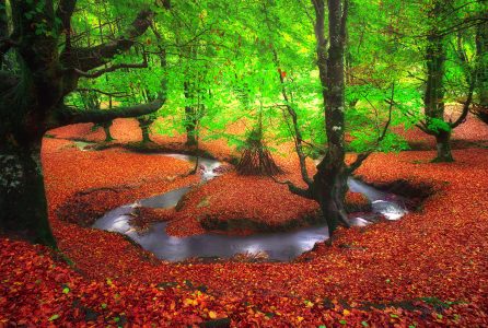 Bent Creek Jigsaw Puzzle