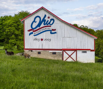 Bicentennial Barn Jigsaw Puzzle