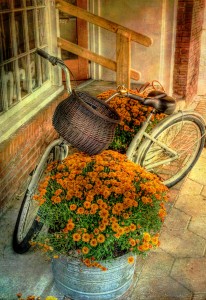 Bicycle and Flowers Jigsaw Puzzle