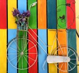 Bicycle Colors