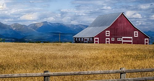 Big Montana Barn Jigsaw Puzzle