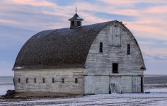 Big White Barn