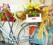 Bike with Flowers