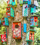 Bird Neighborhood