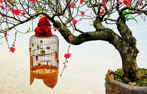 Birdcage Jigsaw Puzzle