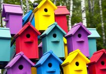 Birdhouse Colors