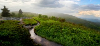 Black Balsam Knob