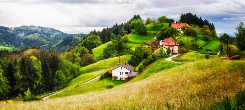 Black Forest Homes Jigsaw Puzzle