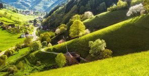 Black Forest Valley