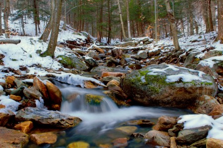 Blackberry Run Jigsaw Puzzle