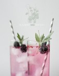 Blackberry Spritzers