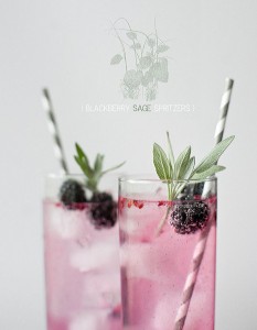 Blackberry Spritzers Jigsaw Puzzle