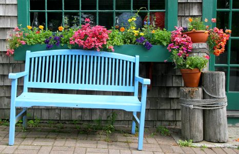 Blue Bench Jigsaw Puzzle