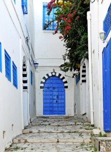 Blue Door Jigsaw Puzzle