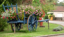 Blue Flower Cart