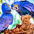 Blue Macaws Jigsaw Puzzle