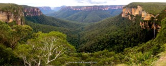 Blue Mountains