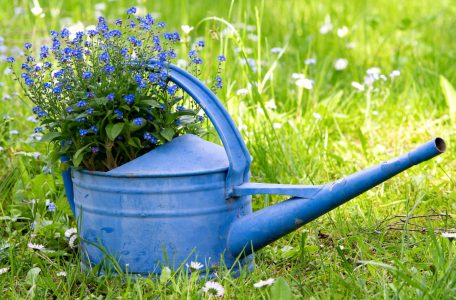 Blue Watering Can Jigsaw Puzzle